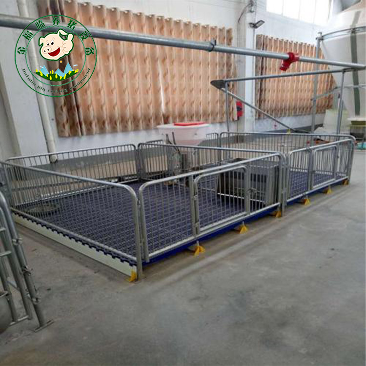 养殖场用保育床 猪场用仔猪保育床 供应保育床 金福临