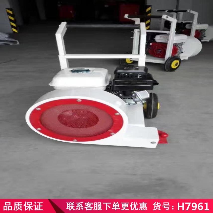 慧采吹风机 公路养护吹风机 路面养护吹风机货号H7961