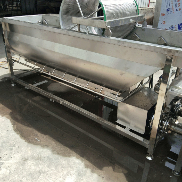 黄桃清洗机 全自动蔬菜水果气泡喷淋清洗设备 青梅清洗机