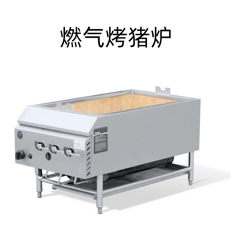 西安批发 燃气烤猪炉  厂家 设计