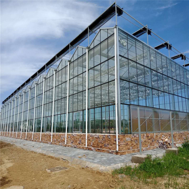 哈萨克斯坦玻璃温室大棚厂家 连栋温室大棚材料厂家