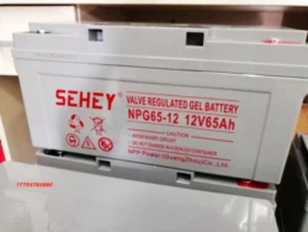 SEHEY西力蓄电池12V65AH NPG65-12直流屏UPS电源EPS太阳能 路灯 电力 机房 