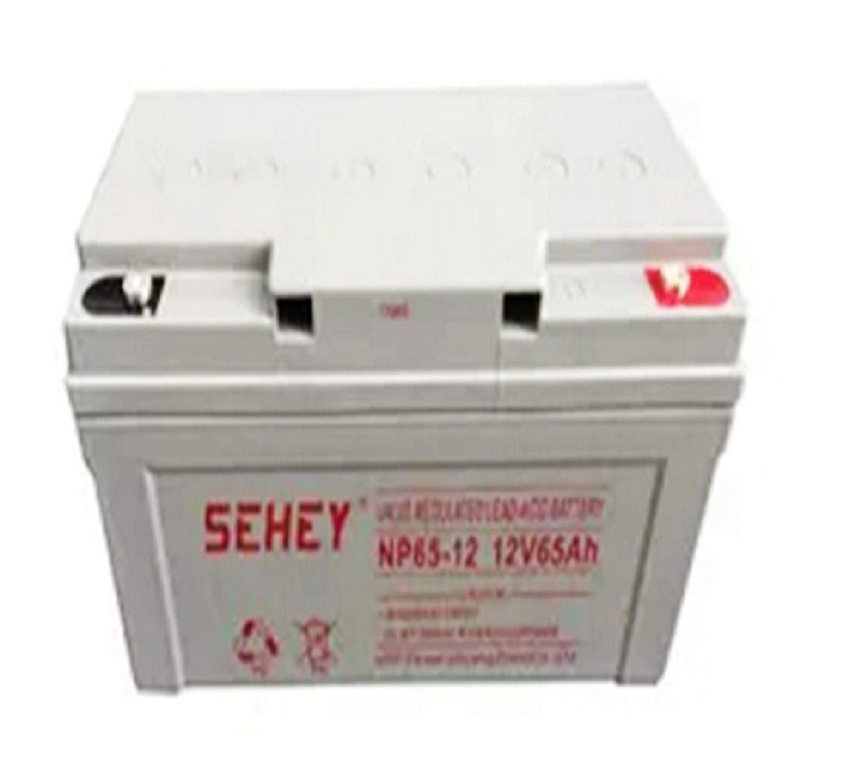 SEHEY西力蓄电池NP65-12 12V65AH直流屏UPS 太阳能 路灯 电力 机房 逆变器 