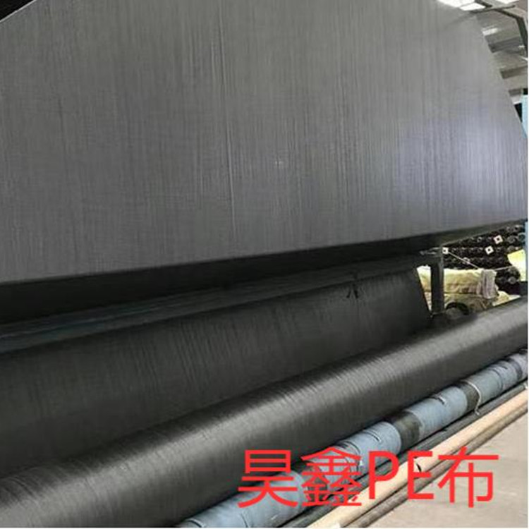 PE布厂家直销 PE无纺布