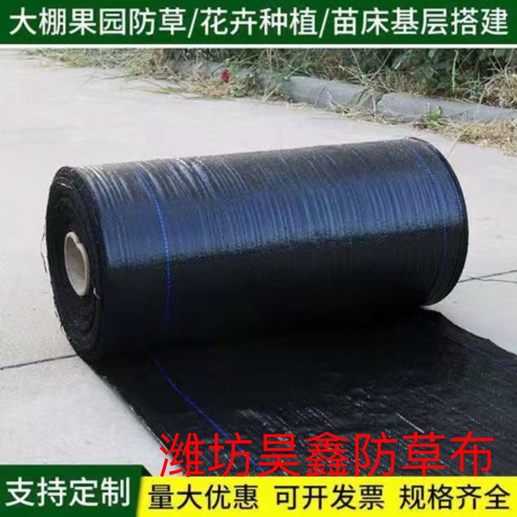 PE<em>防</em>草布