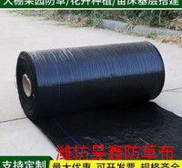 PE<em>防</em>草布