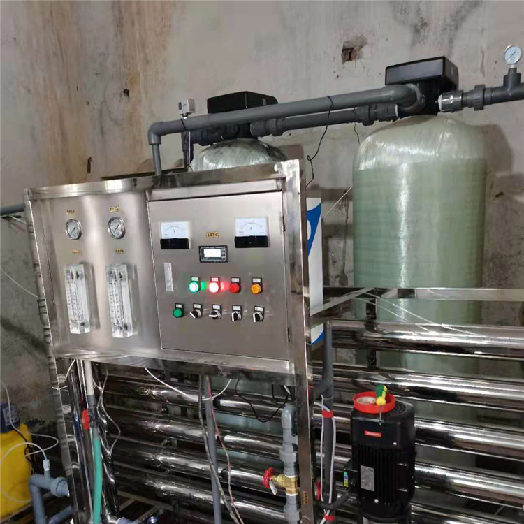 桶装纯净水设备厂家供应 0.5吨双级纯净水设备好口碑