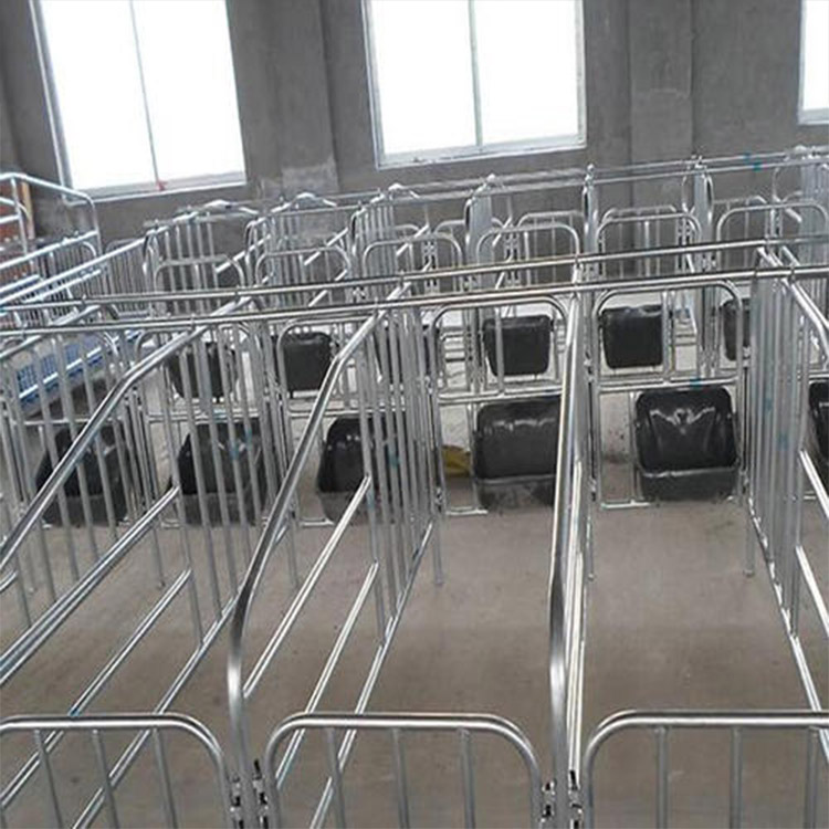 双体限位栏 厂家销售 加厚母猪限位栏 母猪限位栏
