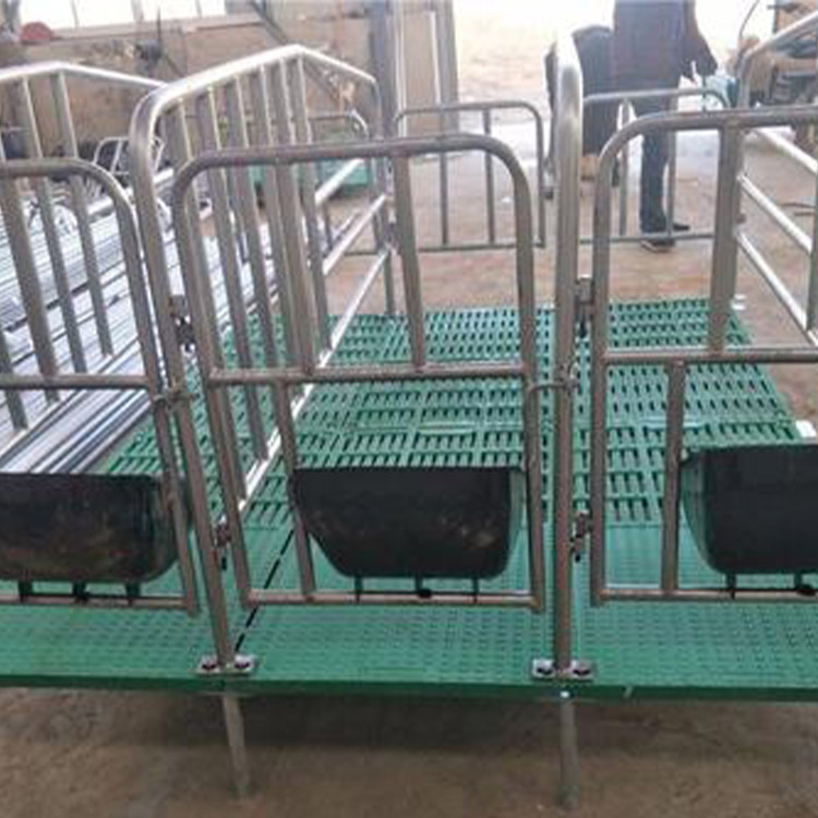 定位栏 限位栏 猪用定位栏 金福临加工 欢迎订购