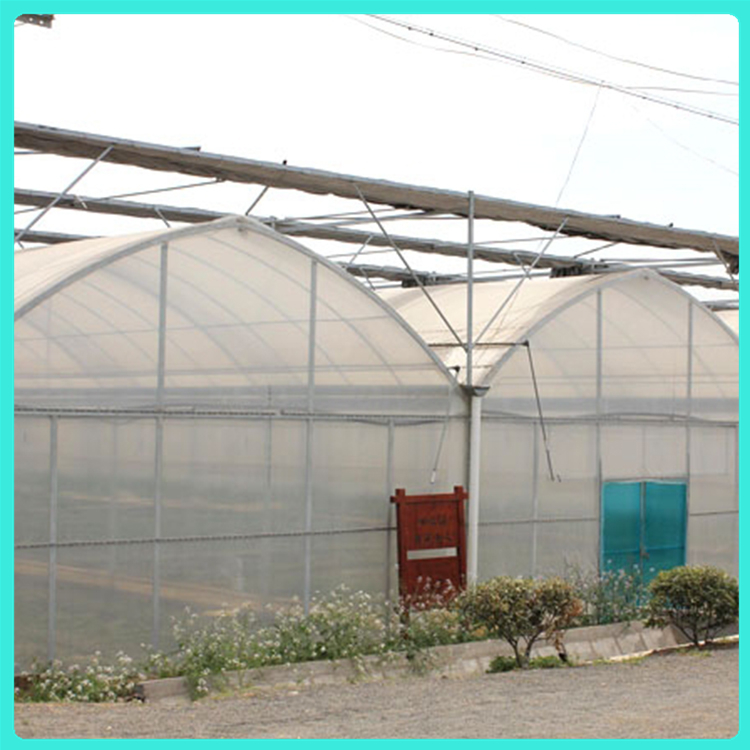 连栋薄膜温室设计 潍坊温室建设 保温性能好 智能温室