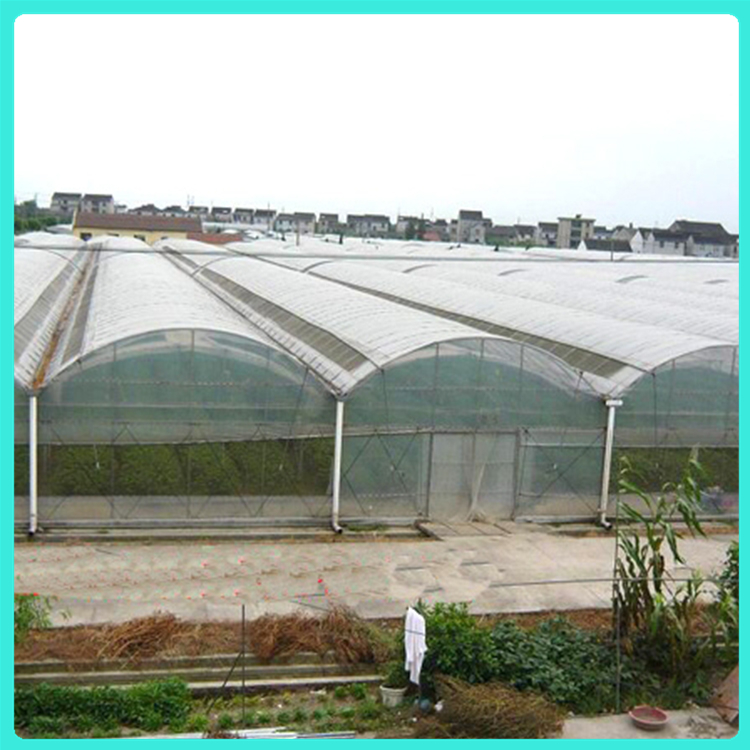 蔬菜温室大棚 鑫秾温室 青州温室造价 连栋薄膜温室设计