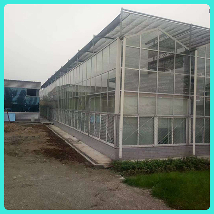 玻璃温室造价 山东温室工程建设 真材实料 蔬菜温室大棚