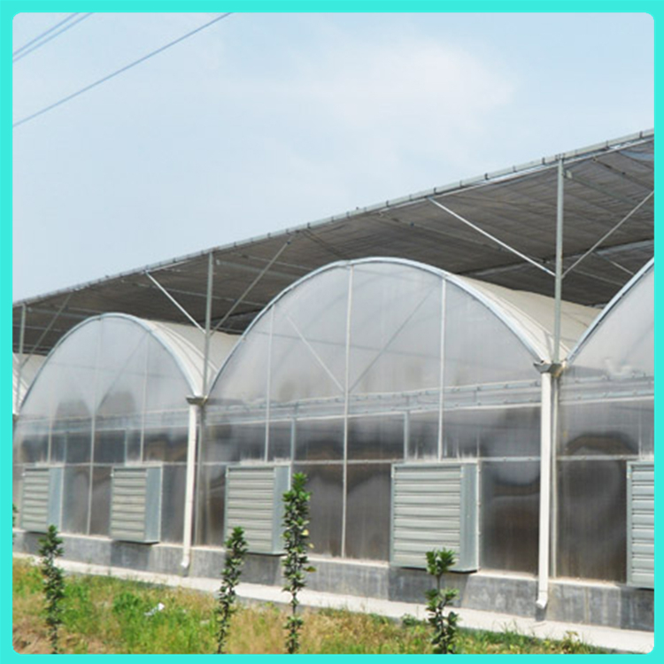 简易连栋蔬菜大棚 结构用钢量小 潍坊温室建设 连栋薄膜温室造价