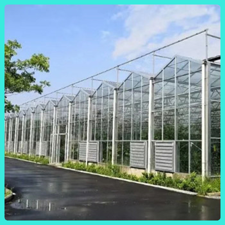 山东温室工程建设 真材实料 日光玻璃温室 玻璃温室建设