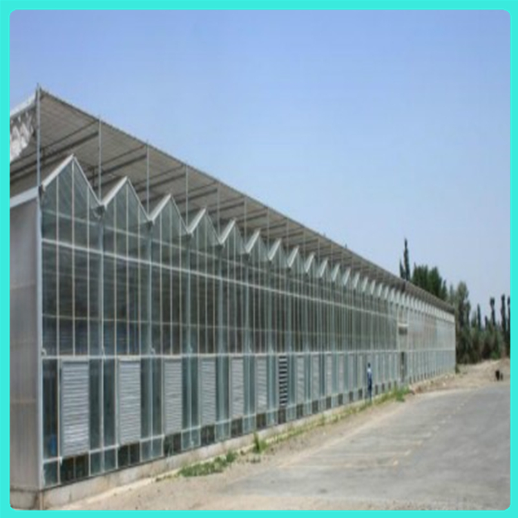山东温室工程建设 鑫秾设计安装 纹洛玻璃温室 玻璃温室建造商