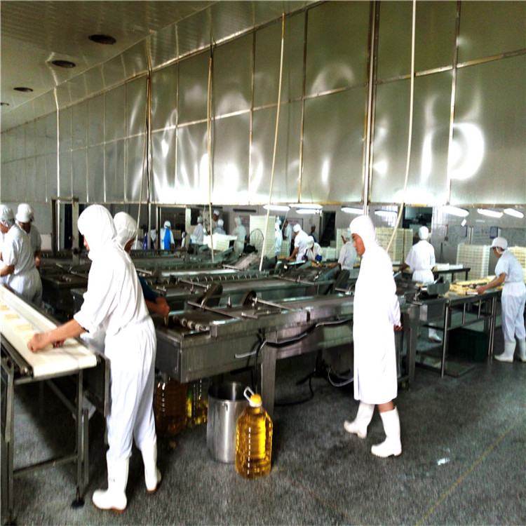 连续式油炸生产设备供货商  不锈钢网带  休闲食品油炸生产流水线