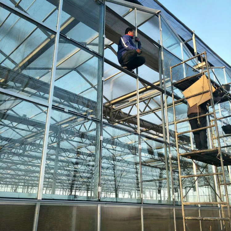 现代农业温室大棚 玻璃温室大棚建设