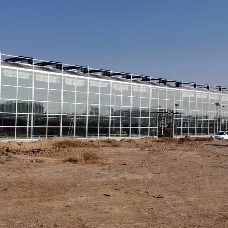连栋温室大棚    玻璃温室大棚建造