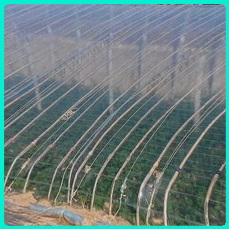 po大棚膜发 定制加工 po膜批发定制 大棚po膜