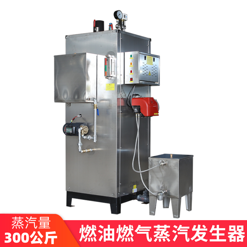 帕莱顿燃油锅炉 柴油蒸汽锅炉 帕莱顿蒸汽发生器