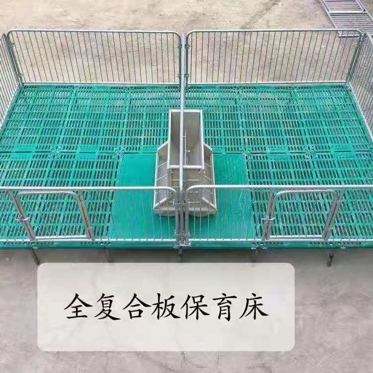 产保一体两用保育分娩床保育两用母猪产床漏粪板设备欢迎订购
