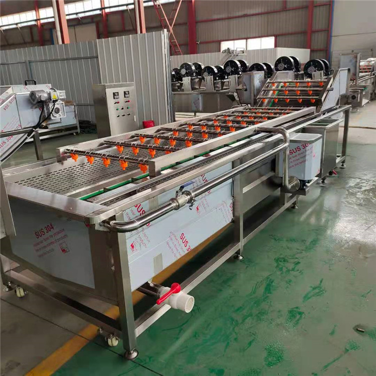 厂家供应菊花清洗机 支持定制双槽中草药清洗机 美康牌高压气泡清洗机