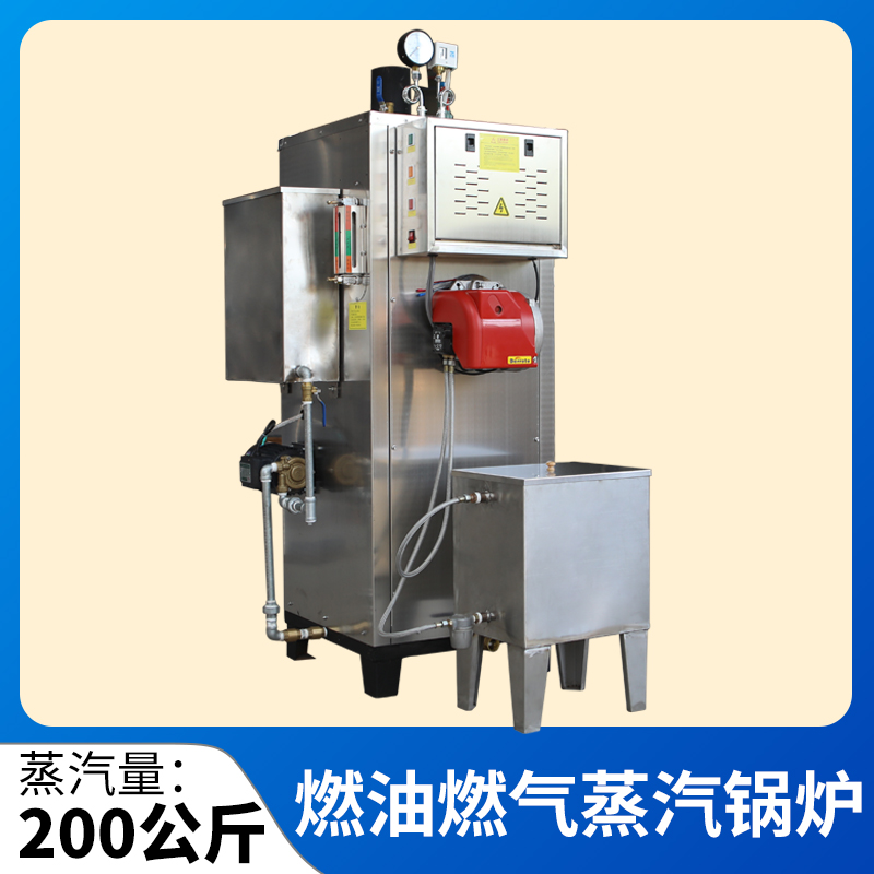 帕莱顿蒸汽锅炉 工业燃油锅炉 燃气蒸汽发生器