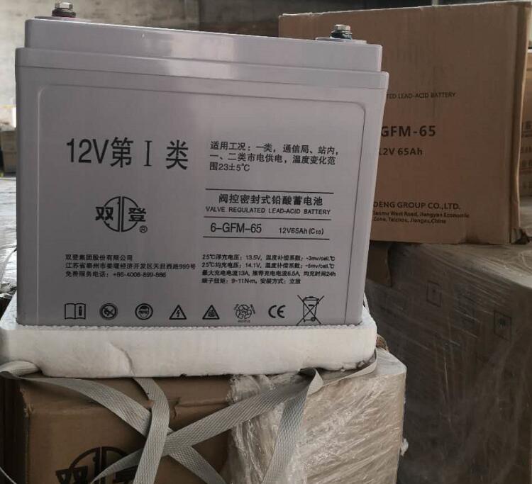 双登蓄电池6-GFM-65 12V65Ah直流屏UPS太阳能铅酸免维护警报船舶