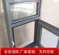 钢制防火窗_厂家直销_支持定制_全<em>安</em>防火窗