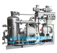 JZJ2B罗茨水环真空机组 众邦 厂家 材质