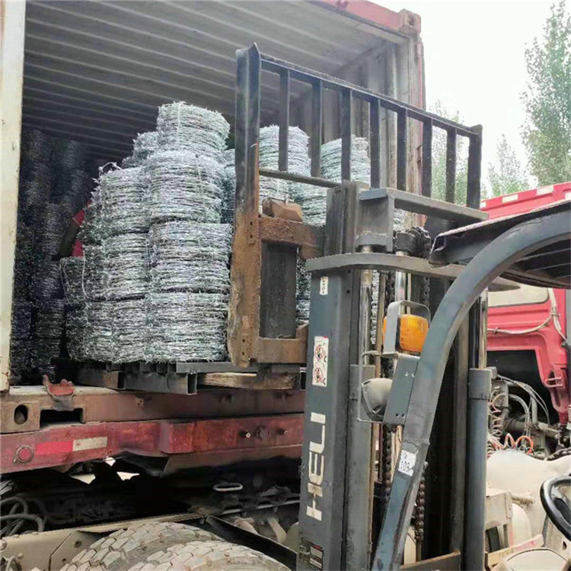  飞腾丝网 正反拧PVC刺绳 厂区防盗刺线 厂家直销