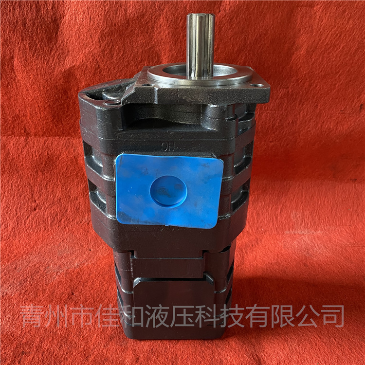 扫雪车双联泵供应 CBGJ3100/2032L