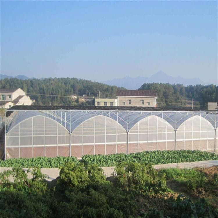 薄膜温室承建 薄膜温室工程 薄膜温室厂家 北方温室