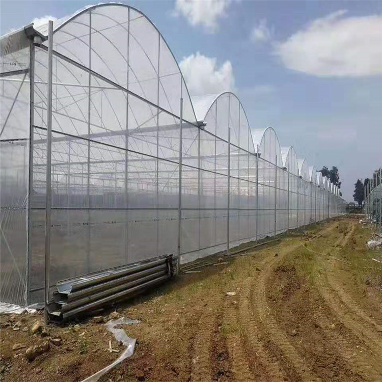 连栋薄膜温室骨架 连栋薄膜温室造价 北方温室 薄膜种植大棚