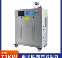 帕莱顿电蒸汽锅炉 电蒸汽发生器 电热锅炉