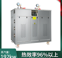 帕莱顿电加热锅炉 电加热蒸汽发生器 电蒸汽锅炉