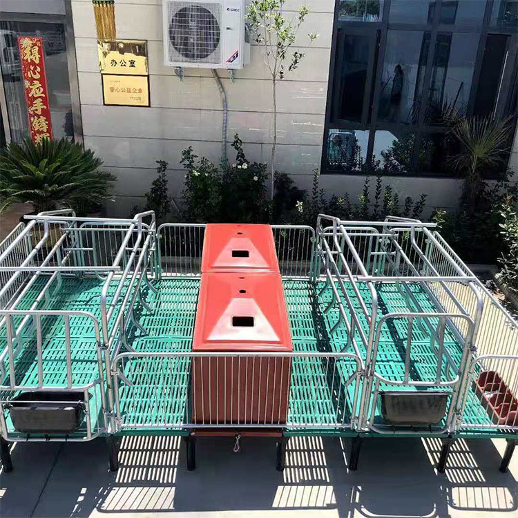 出售 落地式双体产床 养殖场母猪产床 欧式产床 支持订制