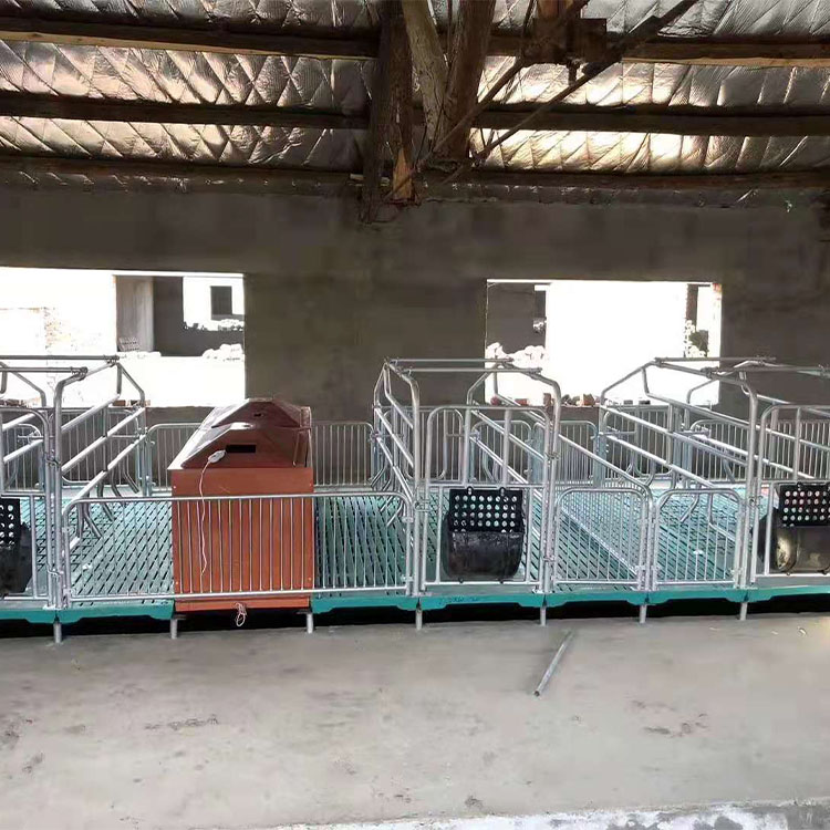 现货供应 产保一体母猪产床 复合板单体产床 分娩床 贴心售后