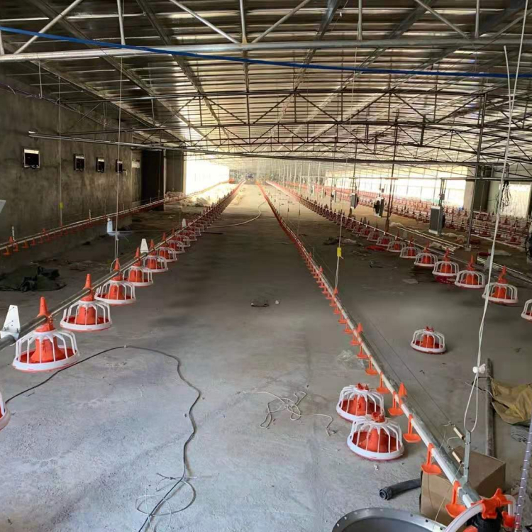 山东富博出售自动喂料设备 平养料线养殖设备厂家