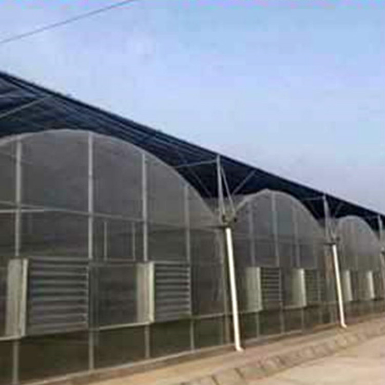 真材实料 种植大棚 简易大棚安装