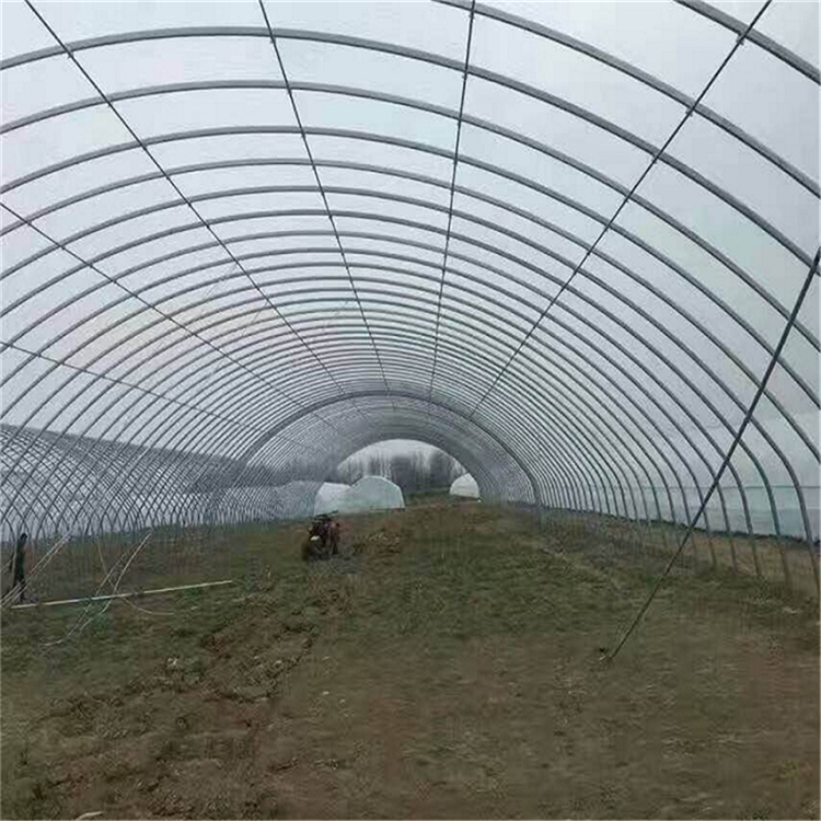 简易大棚安装 山东简易蔬菜大棚 上门搭建