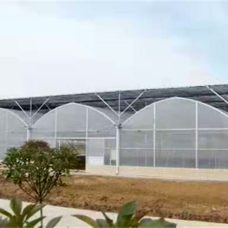 简易大棚造价 山东简易花卉大棚 价格实在