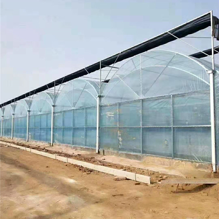 简易大棚价格 青州蔬菜大棚 真材实料