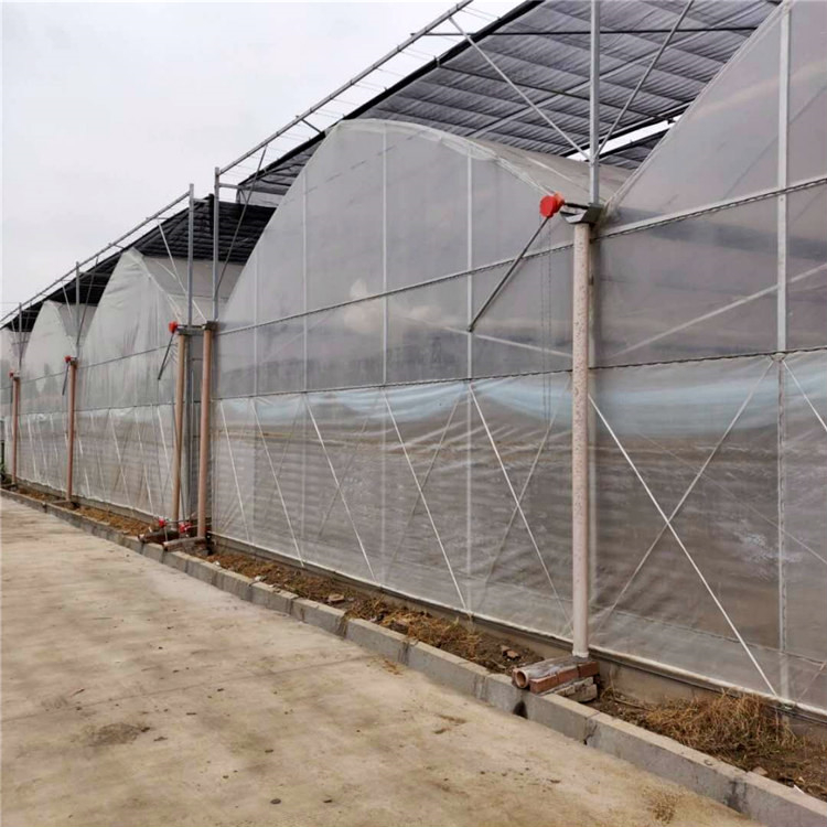 简易大棚价格 山东蔬菜大棚 鑫创温室公司