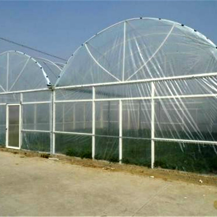 简易大棚造价 山东种植大棚 安装设计