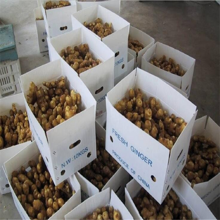 供应凯力特牌SJ150 钙塑周转箱设备  钙塑纸设备