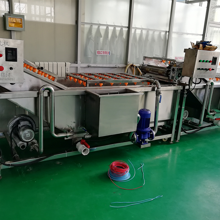 水果喷淋清洗机厂家出售  省水省时间  净菜加工成套设备