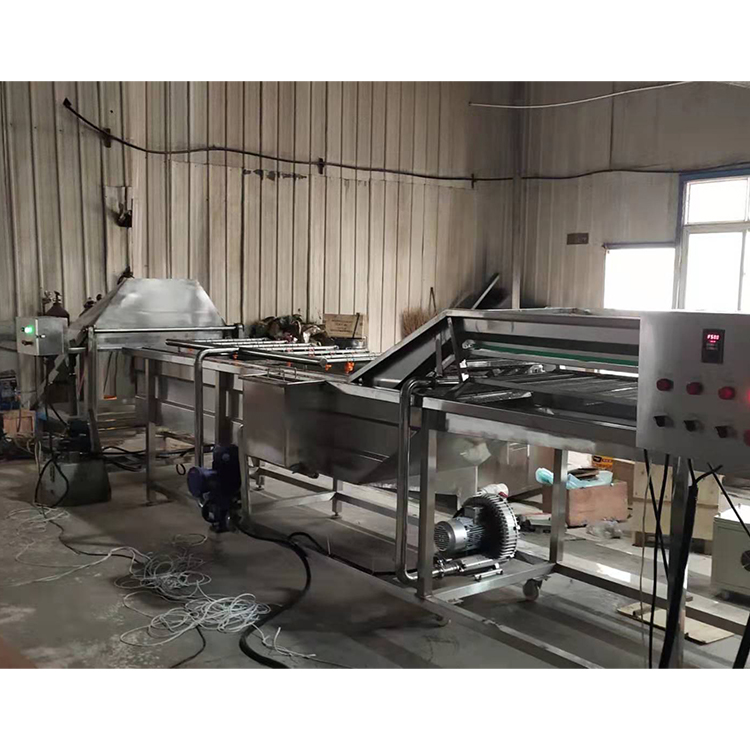 果蔬清洗机厂家出售  省水省时间  高压气泡清洗机