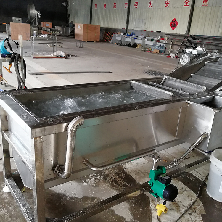 水果喷淋清洗机支持加工定制  省水省时间  高压气泡清洗机