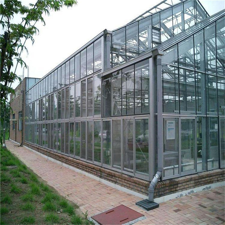 花卉玻璃温室大棚 无土栽培玻璃温室 山东玻璃温室安装